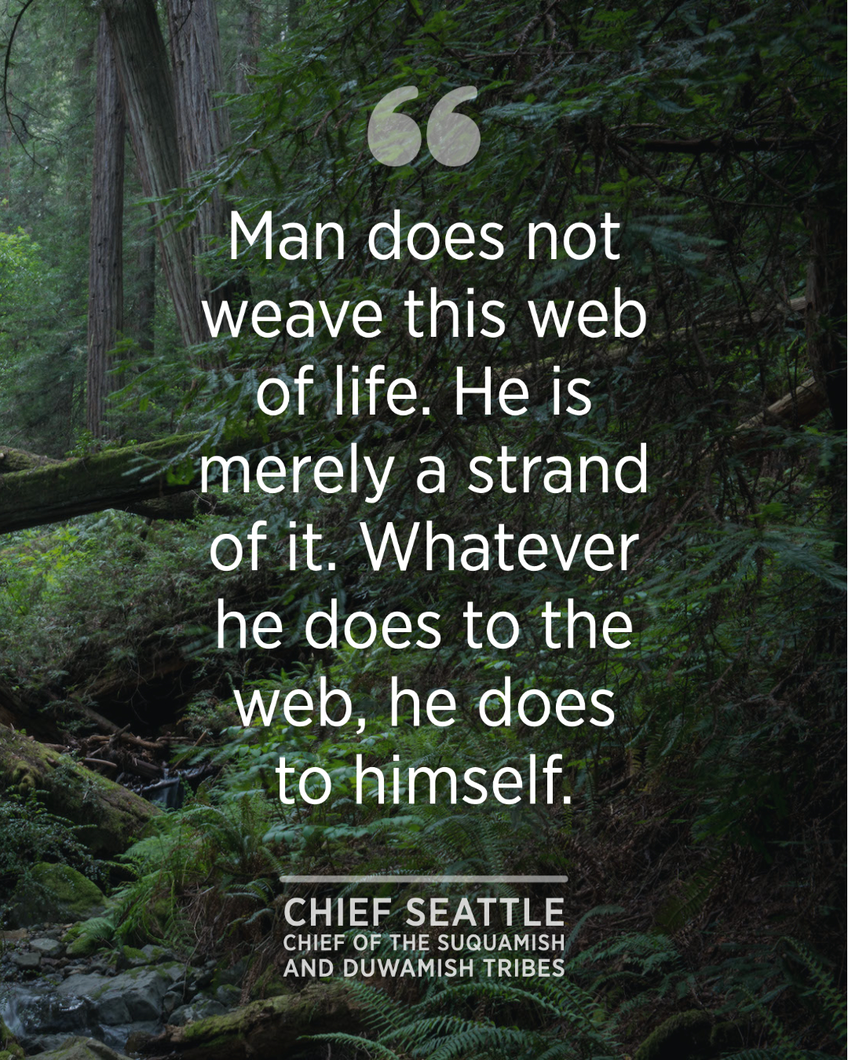 Native Quote 2.jpg “Man does not weave this web of life. He is merely a strand of it. Whatever he does to the web, he does to himself.” - Chief Seattle