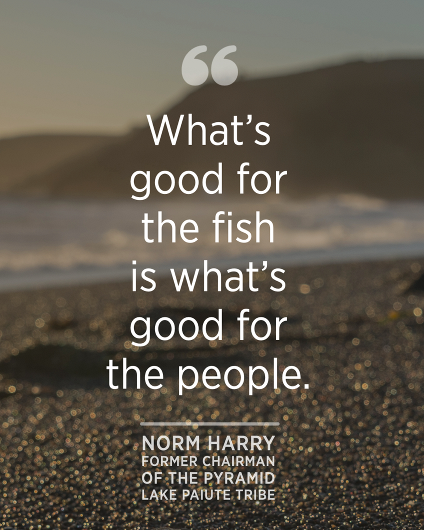 Native Quote 4.jpg “What's good for the fish is what's good for the people.” - Norm Harry