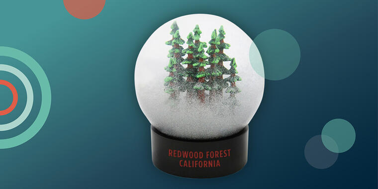 A fog globe with redwood trees