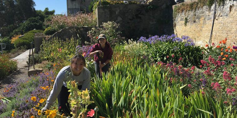 Alcatraz Historic Gardens Volunteers