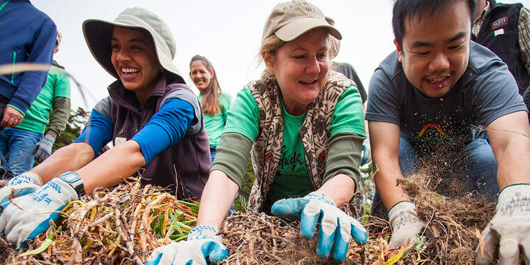 Removing ice plant at Fort Miley