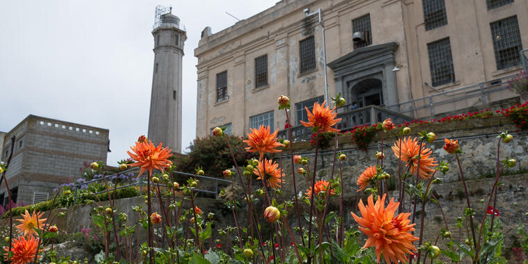 Alcatraz Gardens