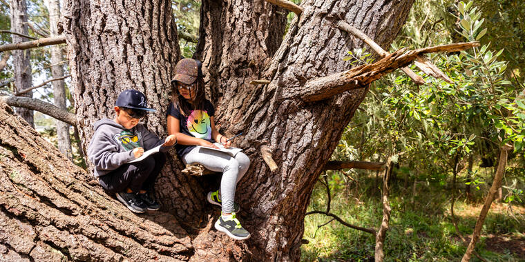 Two children sit and sketch nature from a low tree branch in Rancho Coral de Tierra