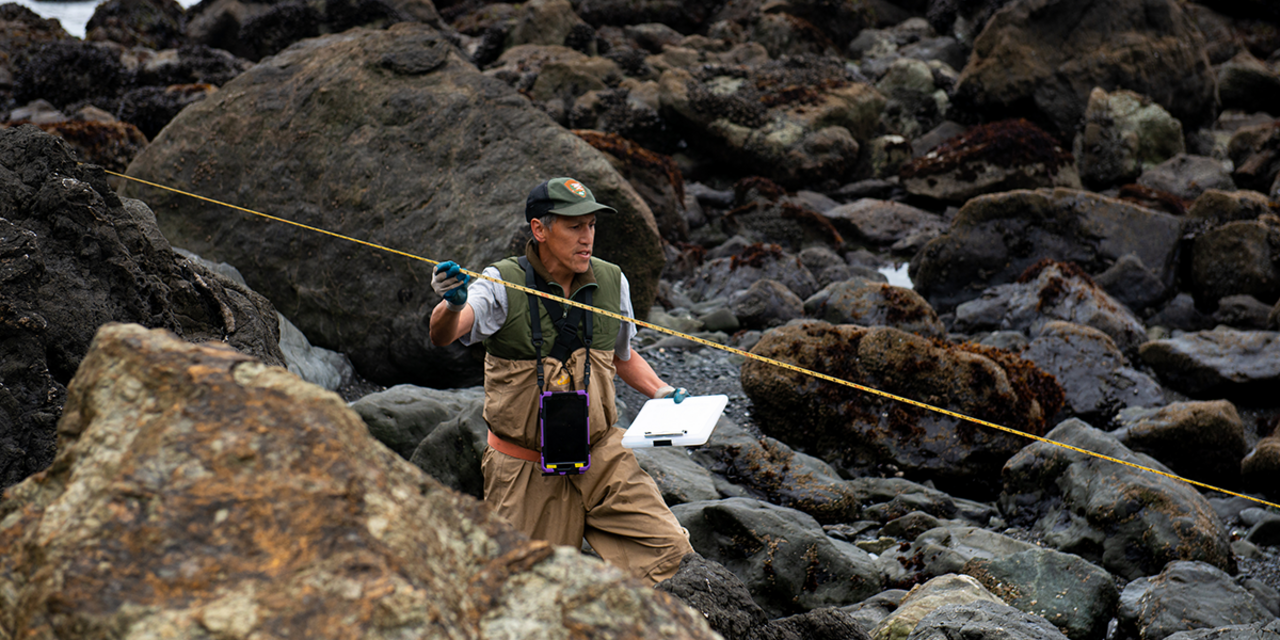 NPS Aquatic Ecologist Darren Fong surveying tide pools in the Marin Headlands