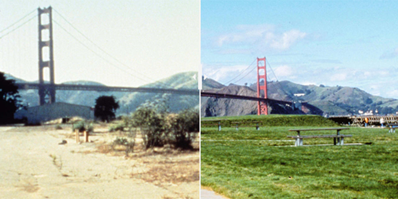 Before-and-after images crissy field