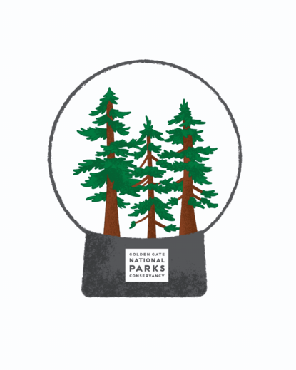 Graphic shows snow globe with redwoods