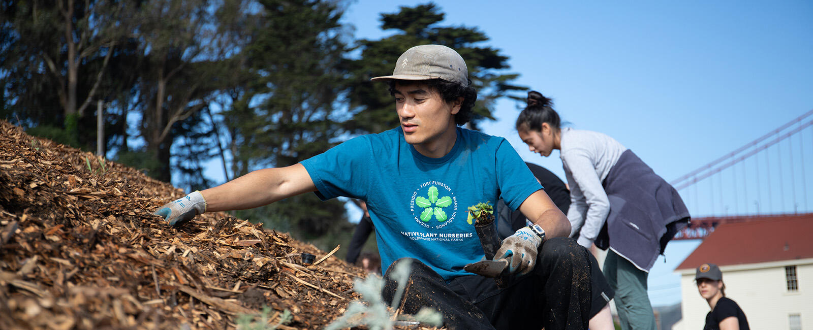 interns planting saplings