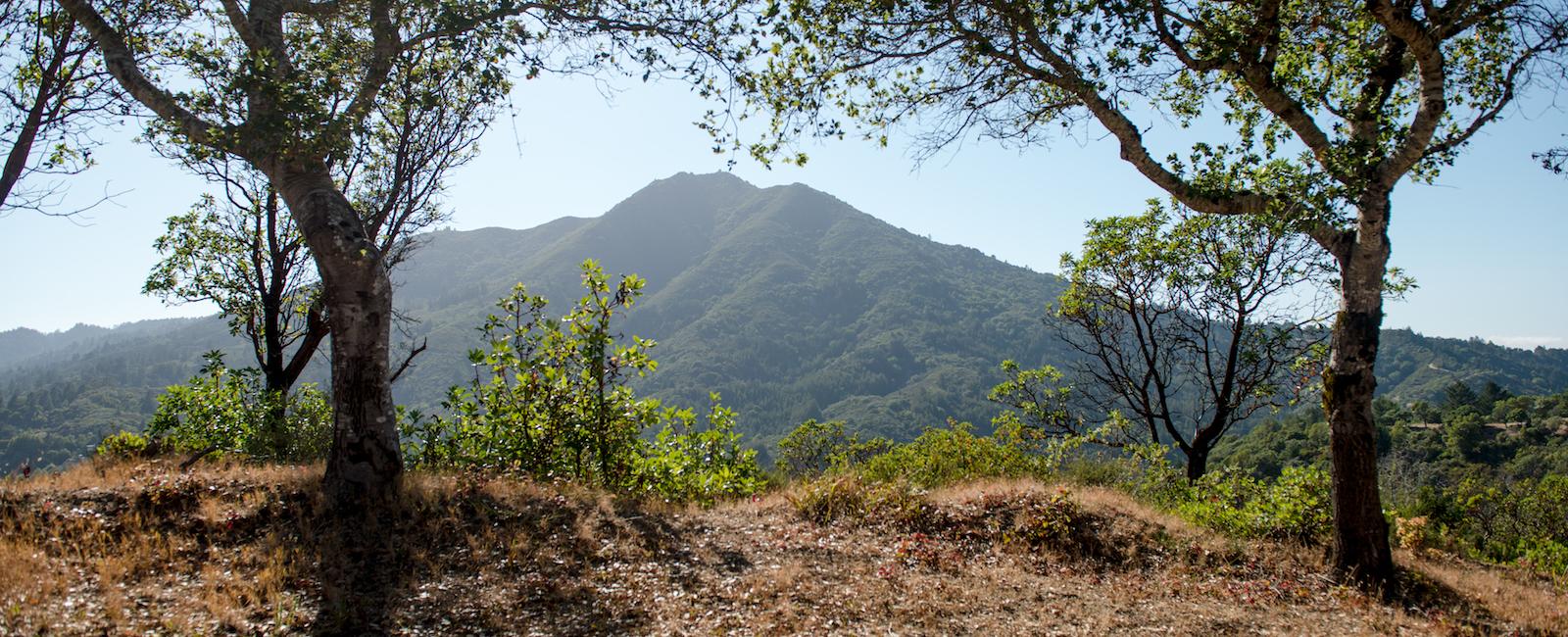 Sun shining on Mt. Tam