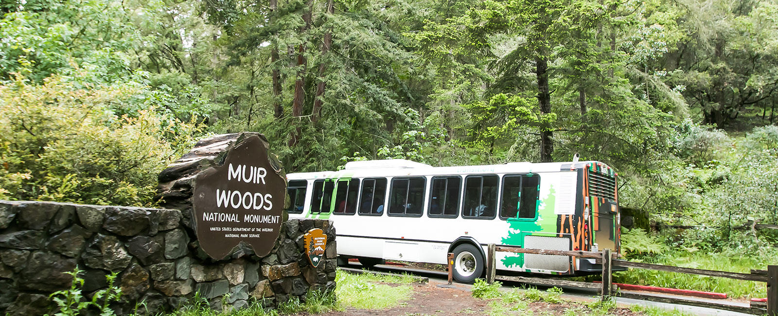 Bus entering Muir Woods National Monument