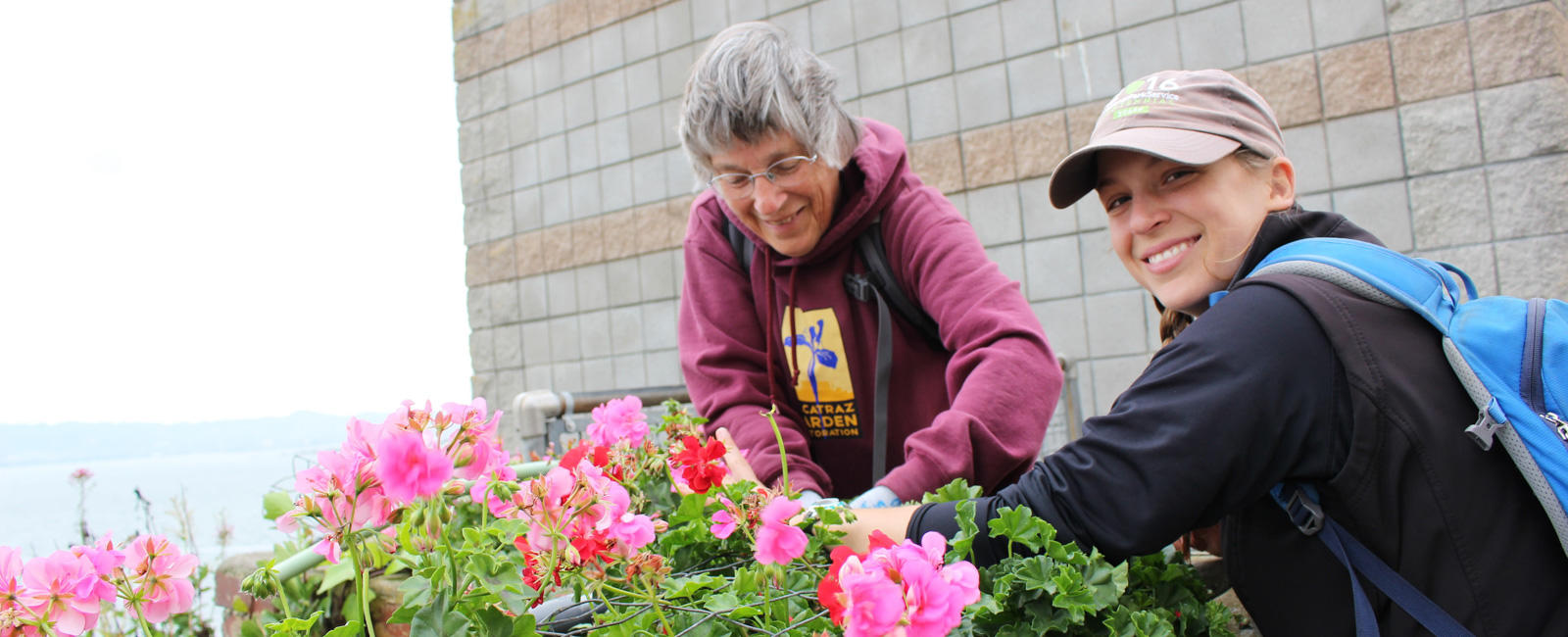 Docent and Volunteer at Alcatraz Garden