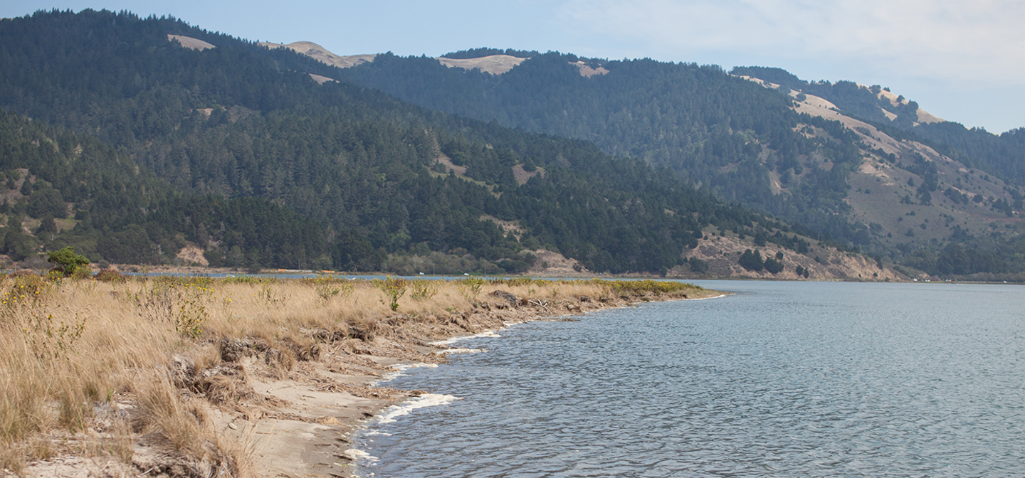 Bolinas Lagoon Golden Gate National Parks Conservancy