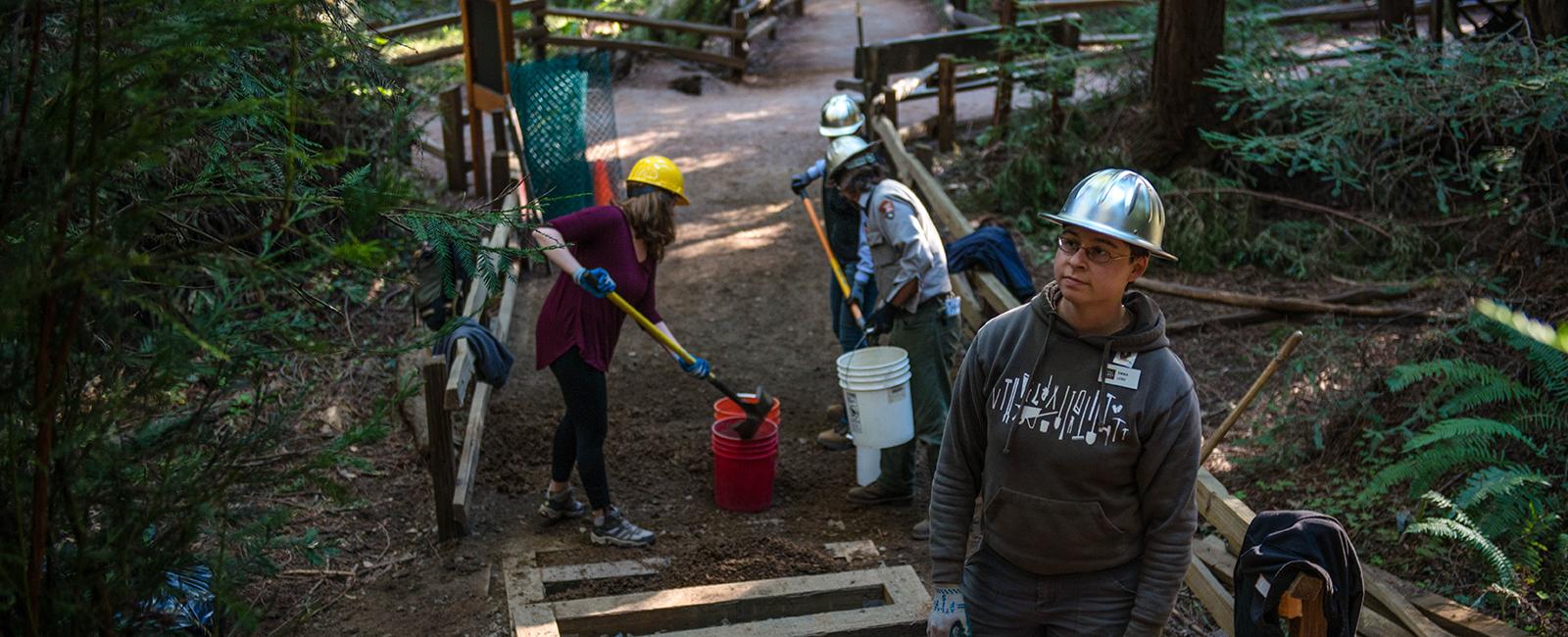 Trail work in Muir Woods National Monument.