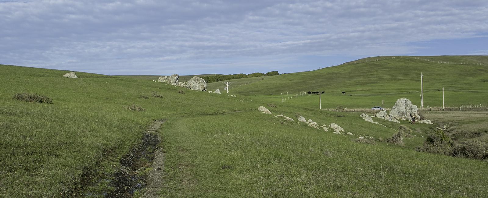 Tomales Bay