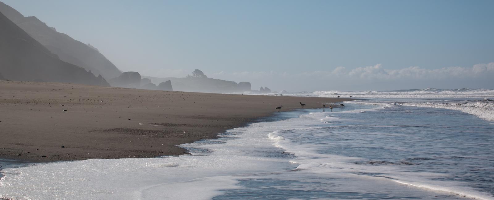 Shimmering shores of Stinson Beach