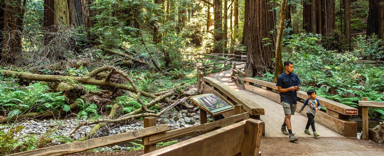 Two people walk across Bridge 2 at Muir Woods with greenery and redwood trees.