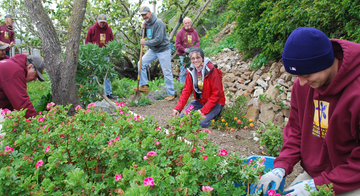 A group of volunteers working in the historic gardens of Alcatraz 