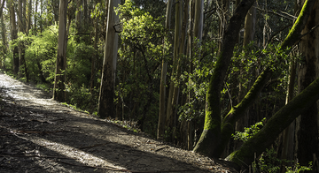 MARIN_160308_ATB_6.Oakwood_hero.jpg