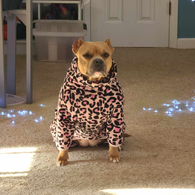 Onesie charlie