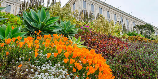 alcatraz gardens