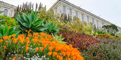 alcatraz gardens