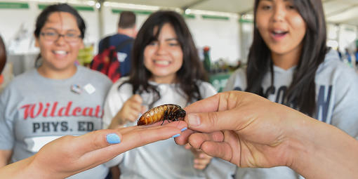 youth biodiversity education