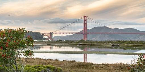 Crissy Field marsh