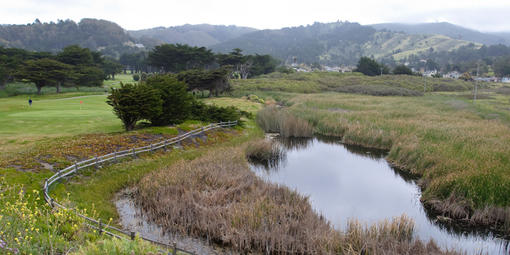 Mori Point