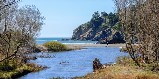 Muir Beach