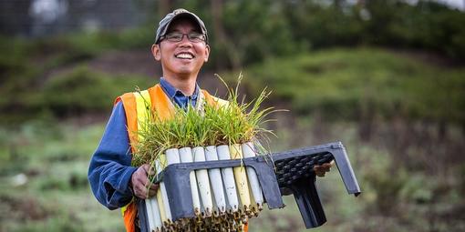 Volunteer at the Presidio