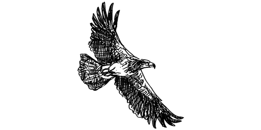 Illustration of bald eagle.