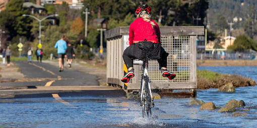 A bicyclist rides through water along the Bay Trail near Bothin Marsh.