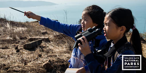 Schoolchildren visiting Hawk Hill