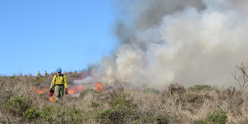 A fireman walks away from a controlled burn.