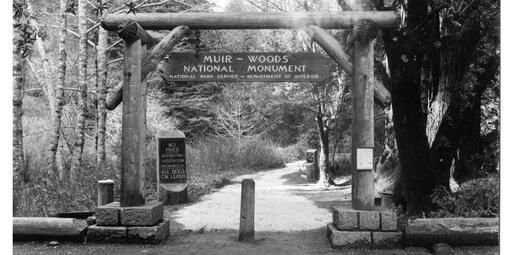 Gateway to Muir Woods