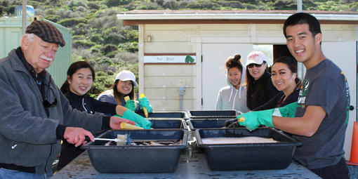 Volunteers wash pots at the Fort Funston Nursery