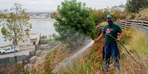 A volunteer waters plants at Black Point Historic Gardens