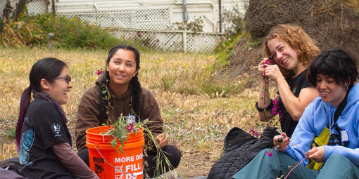 Academic Interns examining flower parts under microscopes.