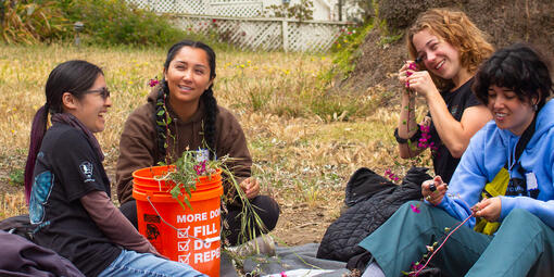 A group of interns identifying various native plant species