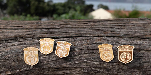 5 light-wood junior ranger badges are seen sitting on a log.