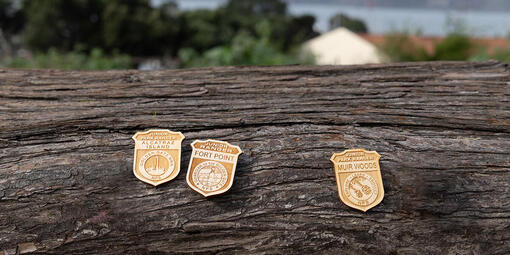 5 light-wood junior ranger badges are seen sitting on a log.