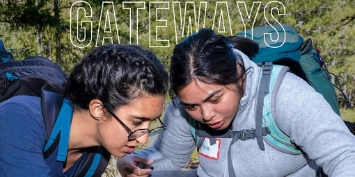 Two people examining a branch at a BioBlitz event.