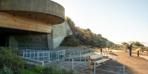 Hawk Hill