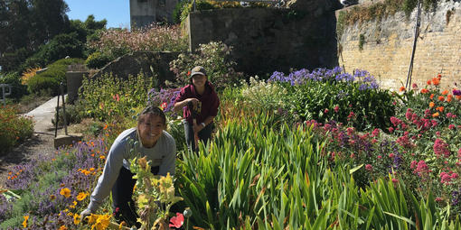 Alcatraz Historic Gardens Volunteers