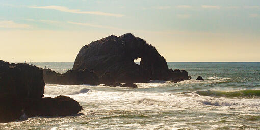 Seal Rocks seen in the Pacific Ocean near San Francisco's Lands End.