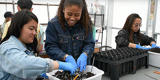 Linking Individuals to their Natural Communities is a summer program for high school students by the Golden Gate National Parks Conservancy