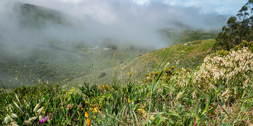 Marin Headlands  