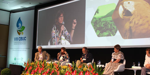 Parks Conservancy Director Sue Gardner presents at a plenary session of the Eighth Brazilian Congress on Protected Areas