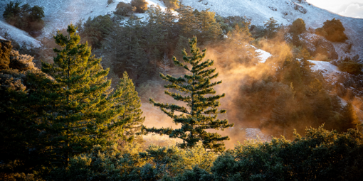 A light dusting of snow on Mt. Tamalpais