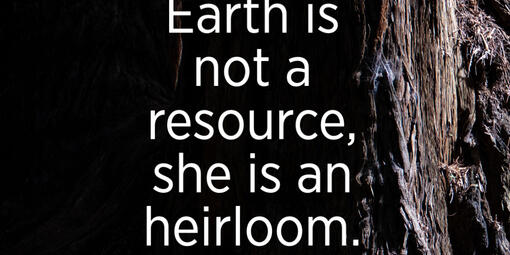 "If we build a society based on honoring the earth, we build a society which is sustainable, and has the capacity to support all life forms." - Winona LaDuke 