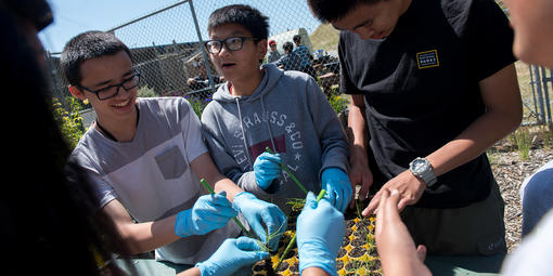 Nursery program at Oceana High School in Pacifica